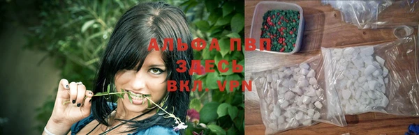 таблы Новокубанск