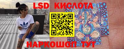 гидра Будённовск