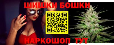 гидра Будённовск