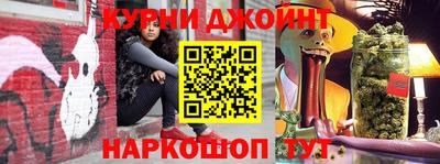 гидра Будённовск