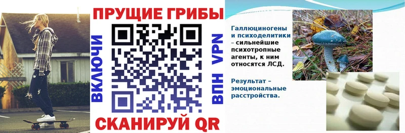 Галлюциногенные грибы мухоморы  Кореновск 