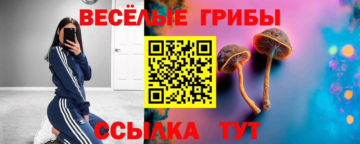 Кореновск  Псилоцибиновые грибы Psilocybine cubensis  Вход с VPN  Галлюциногенные грибы MAGIC MUSHROOMS 